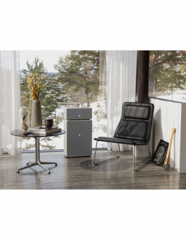 AUDIO PRO Speaker Drumfire II...