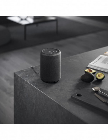 AUDIO PRO Speaker A10 MKII W...