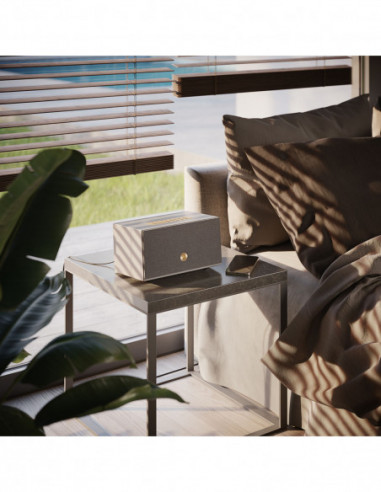 AUDIO PRO Speaker C5 MKII W Multiroom...