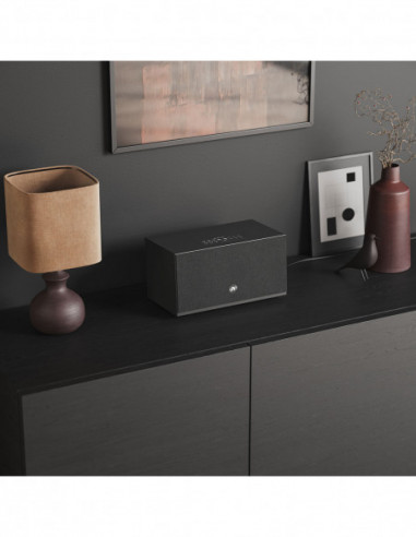 AUDIO PRO Speaker C10 MKII W...