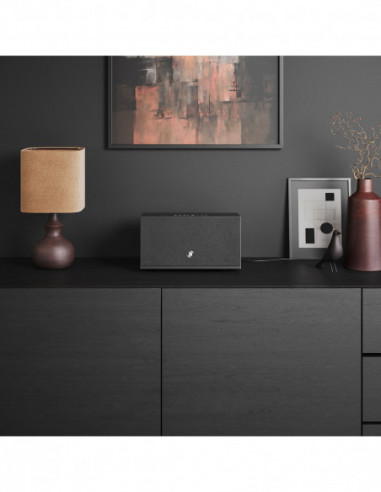 AUDIO PRO Speaker C10 MKII W...