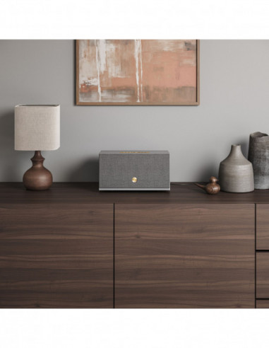 AUDIO PRO Speaker C10 MKII W...