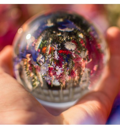 Bresser Clear Photo linse ball 80 mm