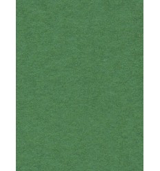 Baggrundspapir - farve: 31 Appel Green - ekstra kraftig 6,2 kg kvalitet - knap 200 gr. pr. kvm. 0