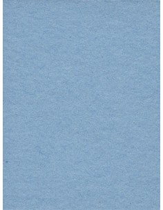 Baggrundspapir - 02 Lobelia