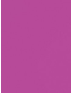 Baggrundspapir - 76 Grape