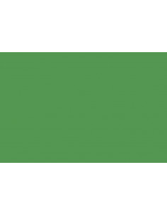54 ChromaGreen - 2,72 x 25m...