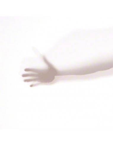 Walimex Stor diffuser til...