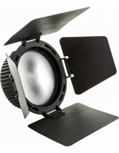 Nanlite CN-18X fresnel lens...