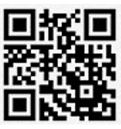 GODOX Ving 850II Li-ion kameraflash - Ledetal 60 1