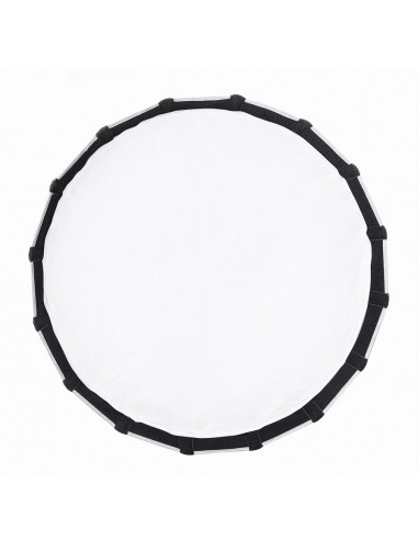 Aputure Light Dome Mini II