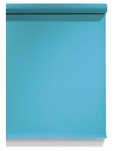 Wedgewood S60 Savage...