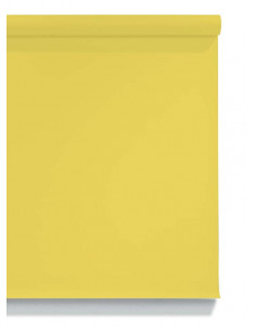 Sunshine S78 Savage...