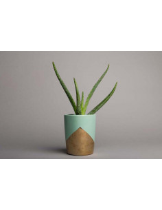 Slate Grey S58 Savage... 2