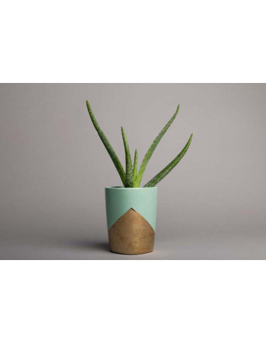 Slate Grey S58 Savage baggrundspapir