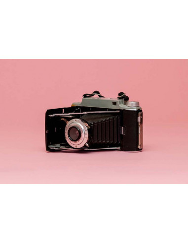 Carnation Pink S17 Savage baggrundspapir