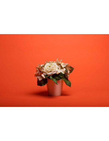 Bright Orange S39 Savage baggrundspapir