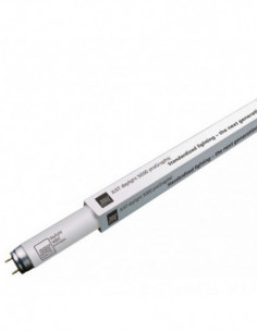 Just Normlicht daylight...