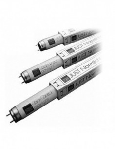 Just Normlicht daylight...