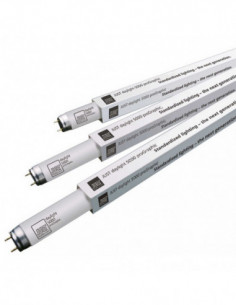 Just Normlicht daylight...