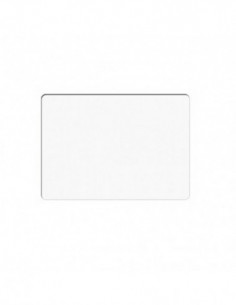 Schneider Cinefilter Clear...