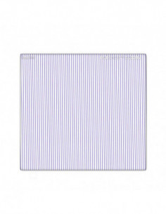 Schneider Cinefilter...