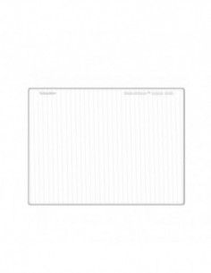 Schneider Cinefilter...