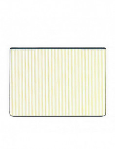 Schneider Cinefilter...