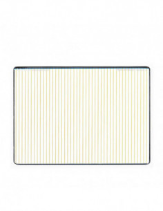 Schneider Cinefilter...