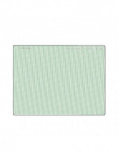 Schneider Cinefilter...