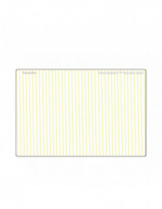 Schneider Cinefilter...