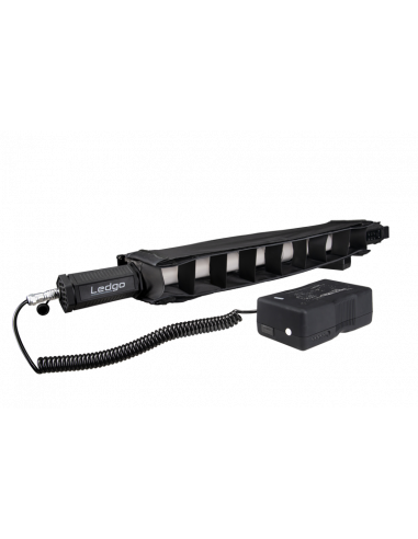 Ledgo Barndoor with Eggcrate Grid for...