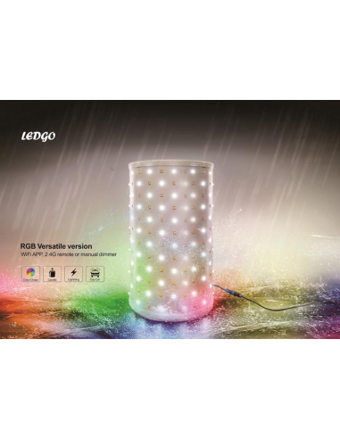 Ledgo LG-VM 232 2KIT RGB VERSATILE...