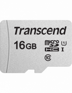 Transcend Silver 300S...