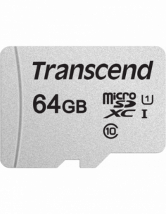 Transcend Silver 300S...