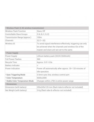 Godox Witstro AD600PRO flash