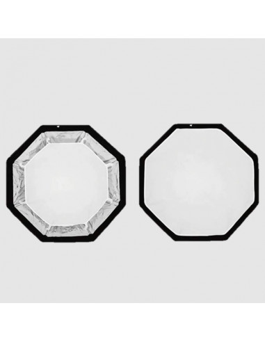 Aputure Light Dome Mini SE