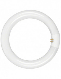 Walimex in. Lamp 22W for...