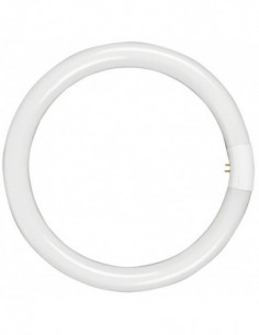 Walimex outer Lamp 40W for...