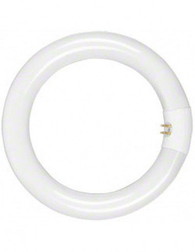 Walimex Beauty Ring Light 50W