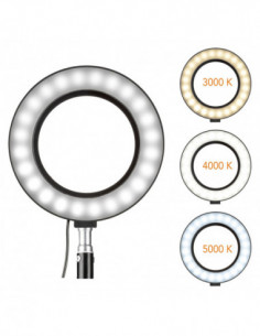 HomeStudio Starter-Kit by... 2