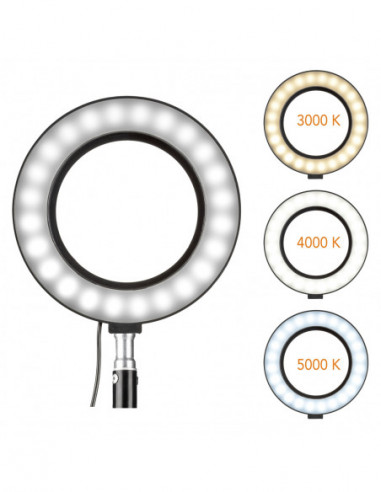 HomeStudio Starter-Kit by Walimex