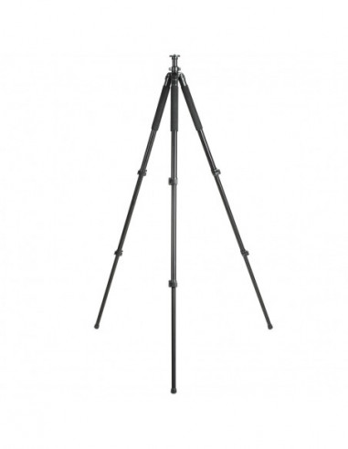 Walimex pro FT-665T Pro-Tripod, 185cm