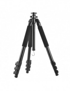 Walimex pro FT-667T Pro...