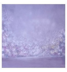 walimex pro stofbaggrund 'Bright',3x6m 0