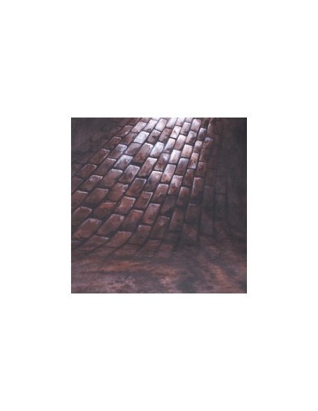 Walimex pro 'street' 3x6m 2