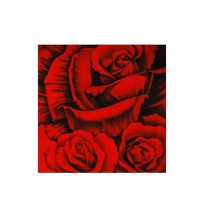 Walimex pro 'lovely' 3x6m 2