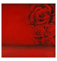 Walimex pro 'lovely' 3x6m 3