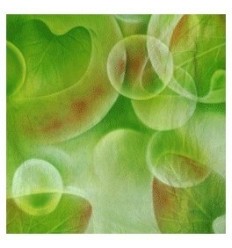 Walimex pro 'fresh' 3x6m 1