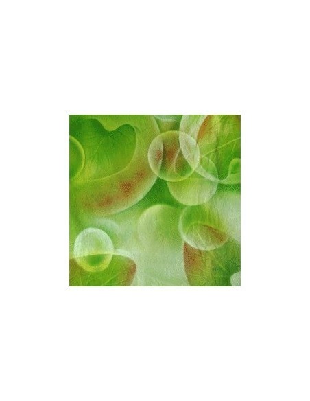 Walimex pro 'fresh' 3x6m 1